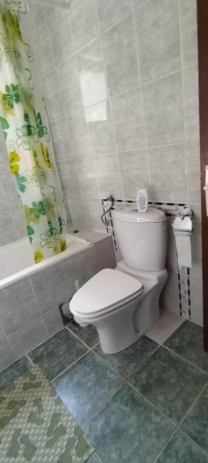 Apartamento Sobe Lara Donji Milanovac Exterior foto